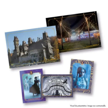Panini Wednesday Mercredi Coffret Collector Nevermore
