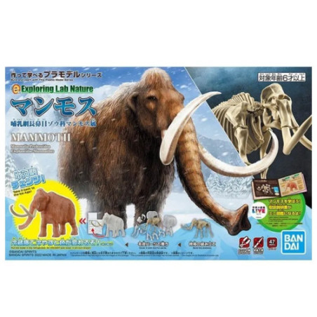 Exploring Lab Dinosaure Nature Mammouth