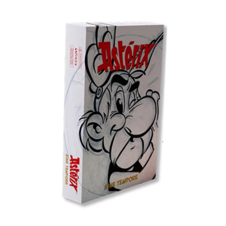 Asterix Panini Infinito TC Treasure Box