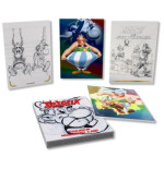 Asterix Panini Infinito TC Treasure Box