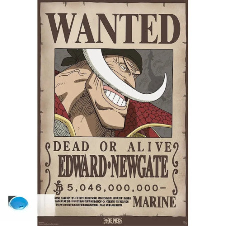 ONE PIECE - Poster Maxi 91,5x61 - Wanted Whitebeard