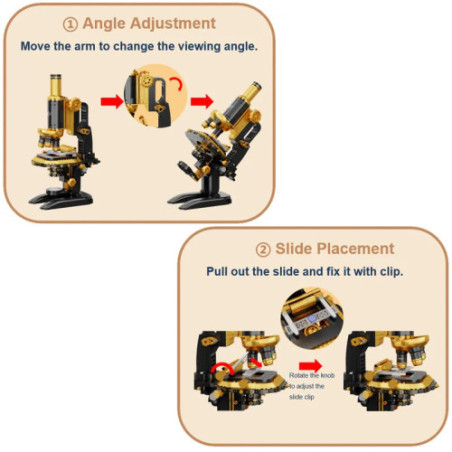 Retro Pantasy 85034 Microscope 38cm