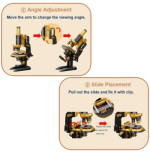 Retro Pantasy 85034 Microscope 38cm