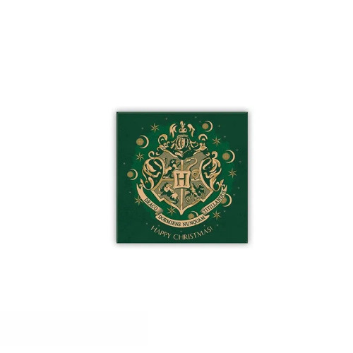 Harry Potter - Magnet 8x8cm - X-MAS - Poudlard Vert