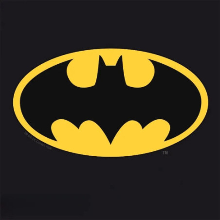 DC COMICS - Sac de sport "Batman" - Grey/Black