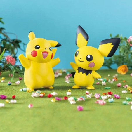 Pokemon Pokepla 24 Quick Pichu