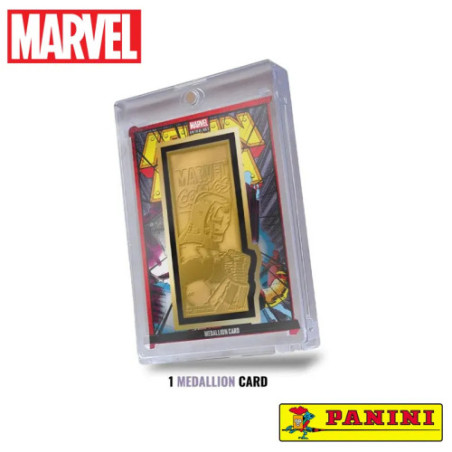 Marvel Panini Anthology TC Treasure Box
