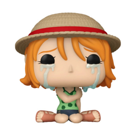 One Piece Pop Nami New Style