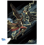 DC COMICS - Poster Maxi 91,5x61 - Black Adam vs Hawkman