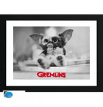 GREMLINS - Tirage encadré "Gizmo" (30x40)