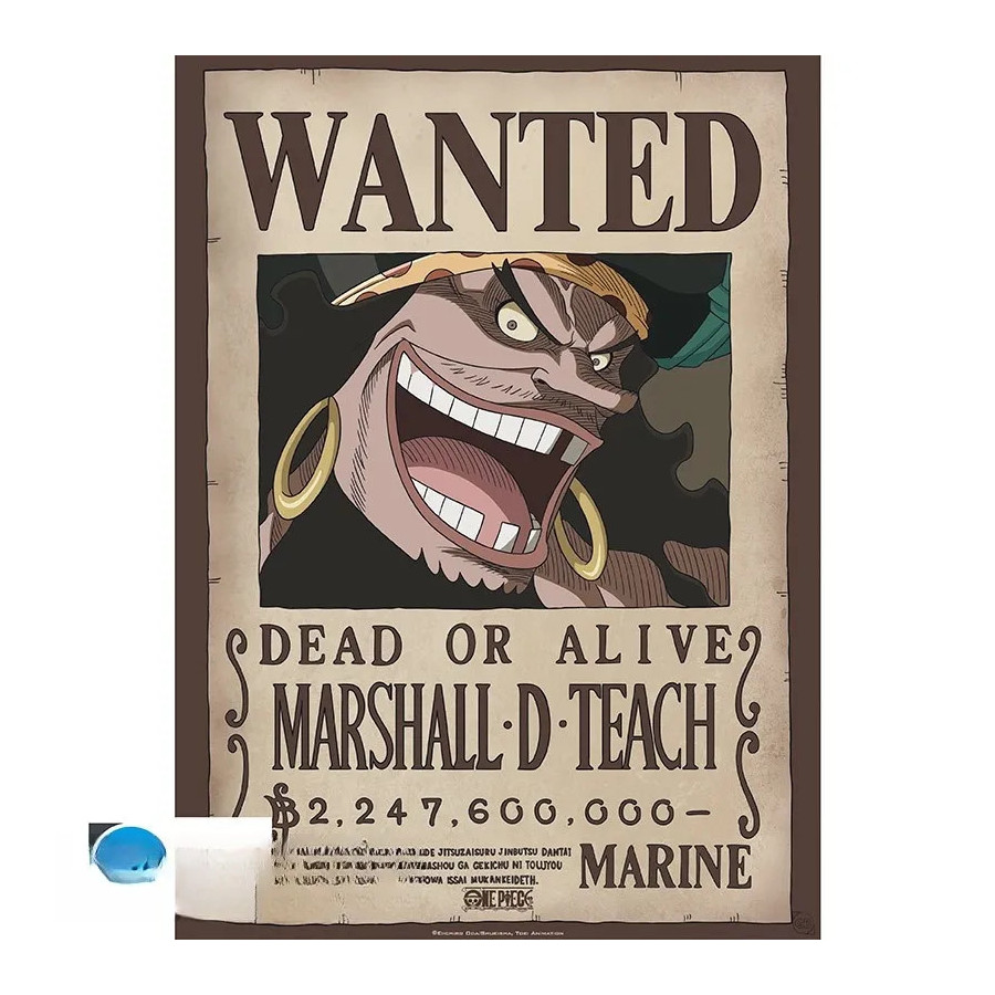 ONE PIECE - Poster Chibi 52x38 - Wanted Blackbeard
