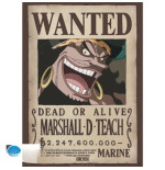 ONE PIECE - Poster Chibi 52x38 - Wanted Blackbeard
