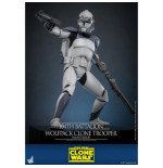 Star Wars The Clone Wars figurine 1/6 104th Battalion Wolfpack Clone Trooper Deluxe Version 30 cm