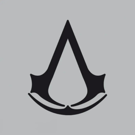 ASSASSIN'S CREED - Casquette snapback- Gris - Crest
