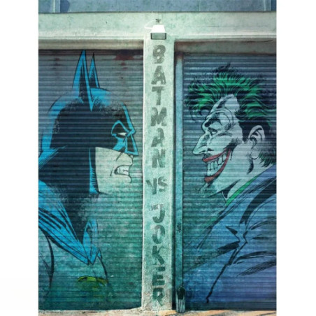 DC COMICS - Toile - Batman Vs Joker (30x40)