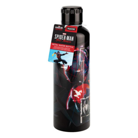 Spider-Man gourde