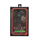 Alien Romulus Ultimate Af Scorched Xenomorph 23cm