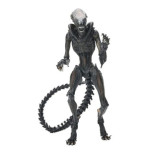 Alien Romulus Ultimate Af Scorched Xenomorph 23cm