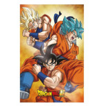 Dragon Ball Super 3D Affiche Champa Goku 38 x 58 cm