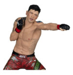 UFC Posed statuette Brandon Moreno 16 cm