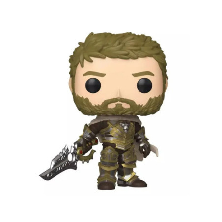World Of Warcraft Pop Anduin