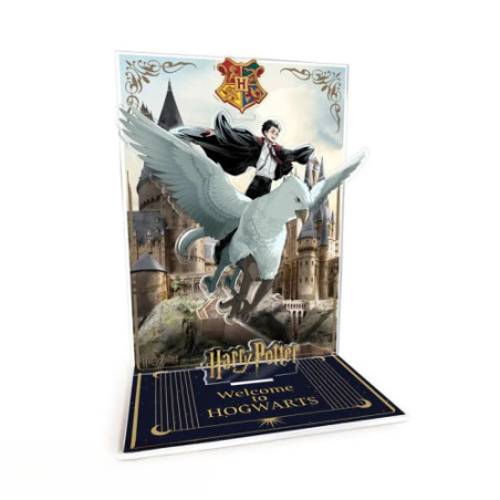 HARRY POTTER - Acryl Diorama - Harry & Buck à Poudlard