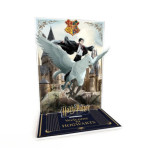 HARRY POTTER - Acryl Diorama - Harry & Buck à Poudlard