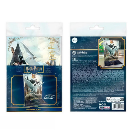 HARRY POTTER - Acryl Diorama - Harry & Buck à Poudlard