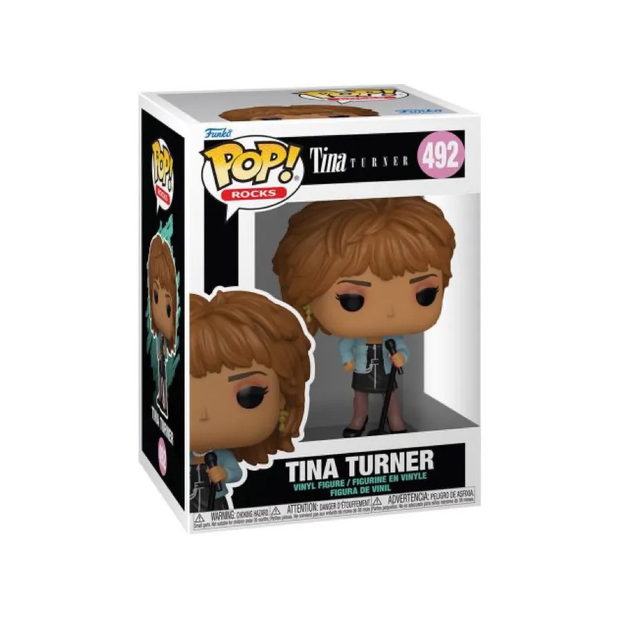 Rocks Pop Tina Turner