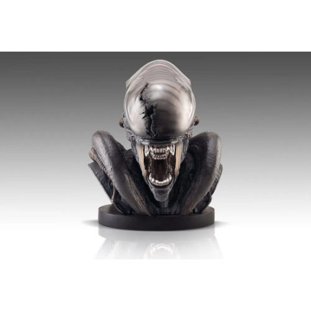 Alien Romulus buste 1/1 Xenomorph 53 cm