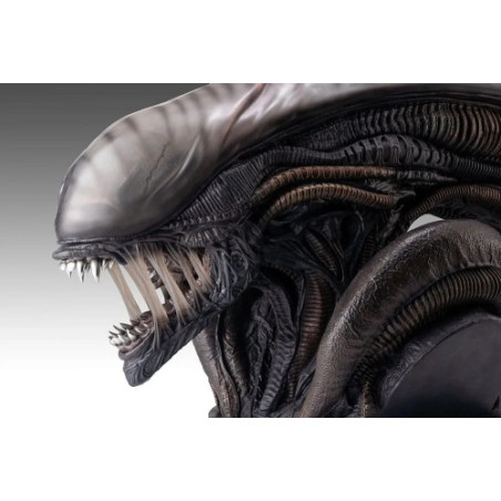 Alien Romulus buste 1/1 Xenomorph 53 cm