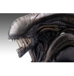 Alien Romulus buste 1/1 Xenomorph 53 cm