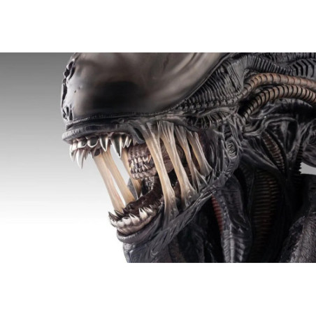 Alien Romulus buste 1/1 Xenomorph 53 cm