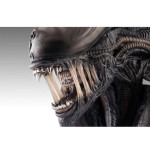 Alien Romulus buste 1/1 Xenomorph 53 cm