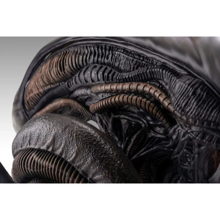 Alien Romulus buste 1/1 Xenomorph 53 cm