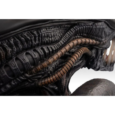 Alien Romulus buste 1/1 Xenomorph 53 cm