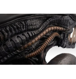 Alien Romulus buste 1/1 Xenomorph 53 cm