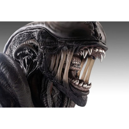 Alien Romulus buste 1/1 Xenomorph 53 cm