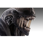 Alien Romulus buste 1/1 Xenomorph 53 cm