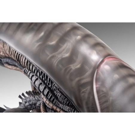 Alien Romulus buste 1/1 Xenomorph 53 cm