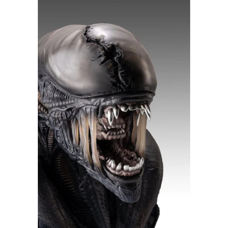 Alien Romulus buste 1/1 Xenomorph 53 cm