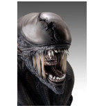 Alien Romulus buste 1/1 Xenomorph 53 cm