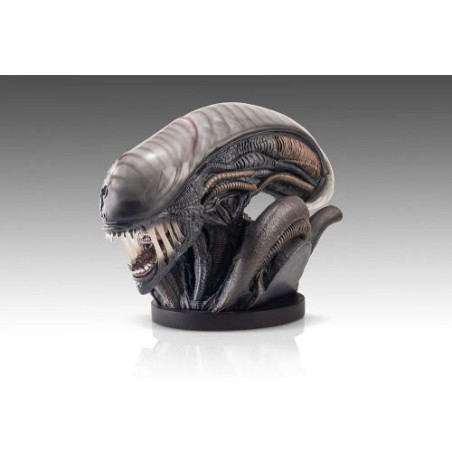 Alien Romulus buste 1/1 Xenomorph 53 cm