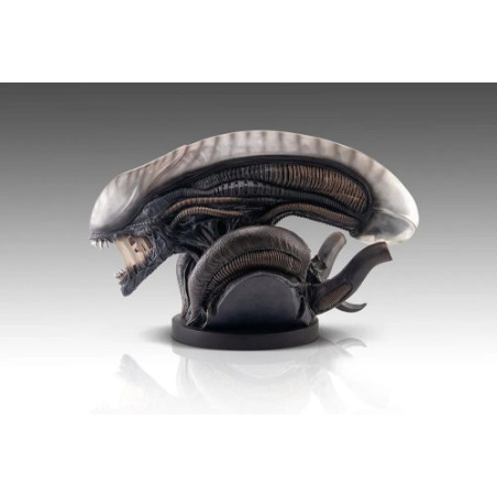 Alien Romulus buste 1/1 Xenomorph 53 cm