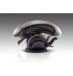Alien Romulus buste 1/1 Xenomorph 53 cm