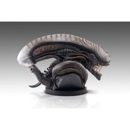 Alien Romulus buste 1/1 Xenomorph 53 cm