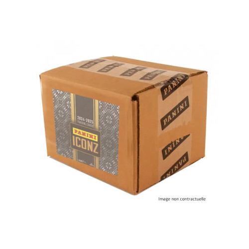Foot Panini Ligue 1 Iconz Case Scellee 10 Boites