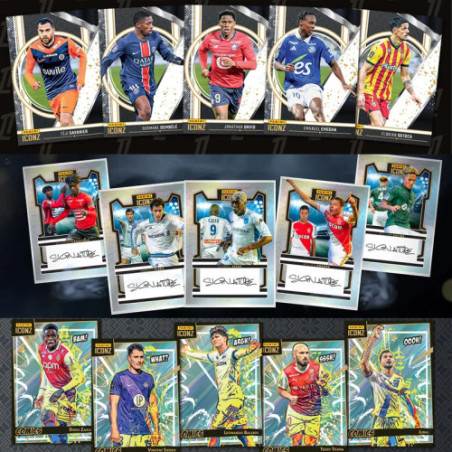 Foot Panini Ligue 1 Iconz Case Scellee 10 Boites