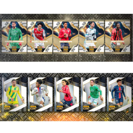 Foot Panini Ligue 1 Iconz Case Scellee 10 Boites