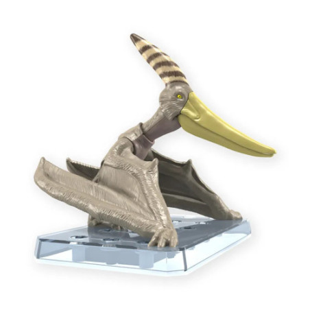 Dinosaure Plastic Model Kit Plannosaurus Pteranodon